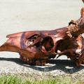 Copper bronzed deer Copper bronzed deer